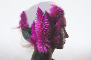 Gallery left description